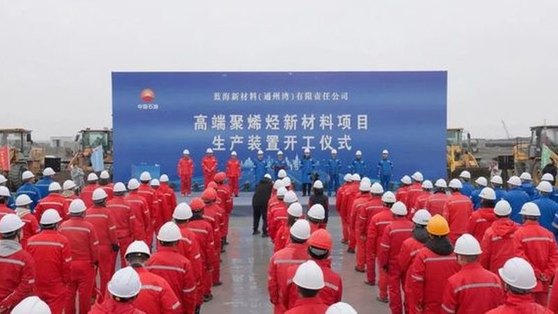 广州苯甲酸钠批发商：如何选择可靠供应商**